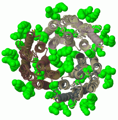 Image Biol.Unit 1 - manually