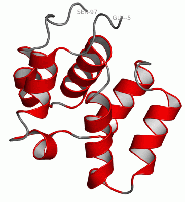 Image NMR Structure - manually