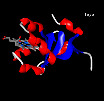 Image Asym./Biol. Unit - manually