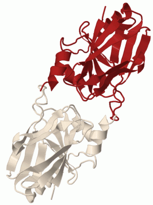 Image Biol.Unit 1 - manually