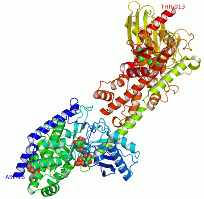 Image Asym./Biol. Unit - manually