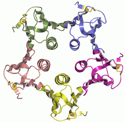 Image Asym./Biol. Unit - manually