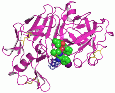 Image Asym./Biol. Unit - manually