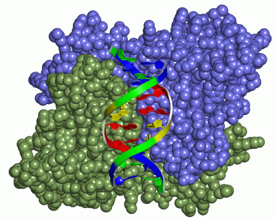 Image Asym./Biol. Unit - manually