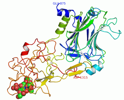 Image Asym./Biol. Unit - manually