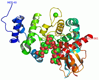 Image Asym./Biol. Unit - manually