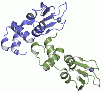 Image Asym./Biol. Unit - manually