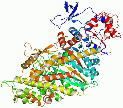 Image Asym./Biol. Unit - manually