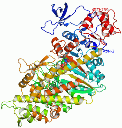 Image Asym./Biol. Unit - manually