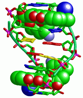 Image Biol.Unit 1 - manually