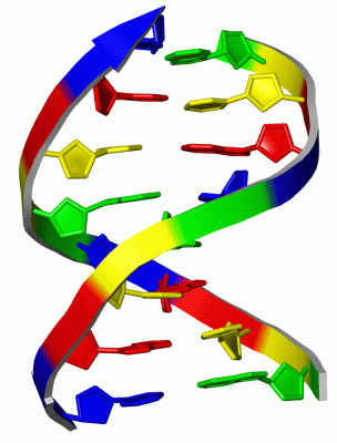 Image NMR Structure - manually