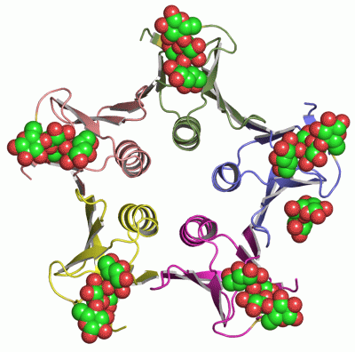 Image Asym./Biol. Unit - manually