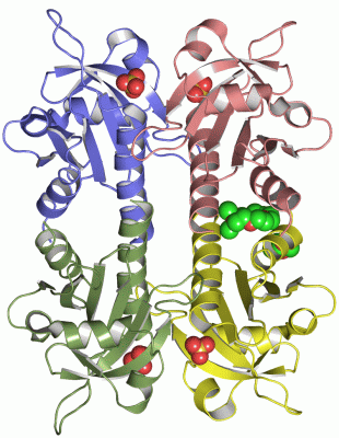 Image Asym./Biol. Unit - manually