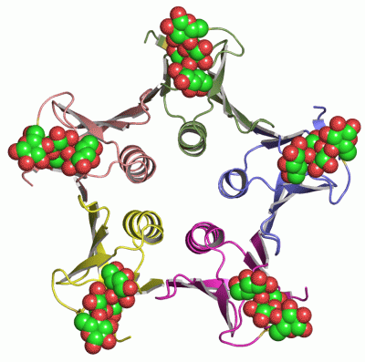 Image Asym./Biol. Unit - manually