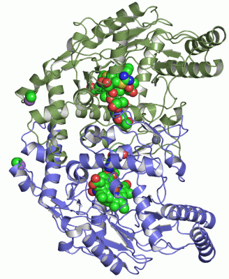 Image Asym./Biol. Unit - manually