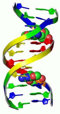 Image Asym./Biol. Unit - manually