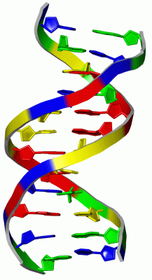 Image Asym./Biol. Unit - manually