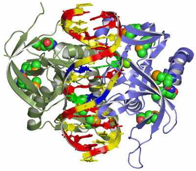 Image Asym./Biol. Unit - manually