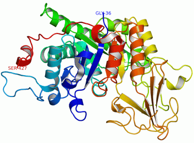 Image Asym./Biol. Unit - manually