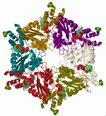 Image Biol.Unit 1 - manually