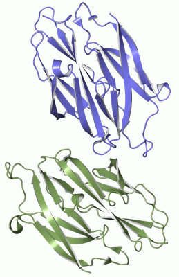 Image Asym./Biol. Unit - manually