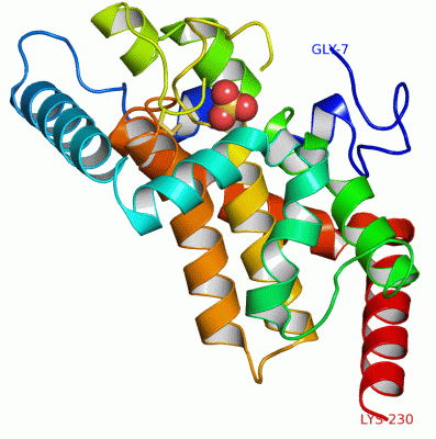 Image Asym.Unit - manually