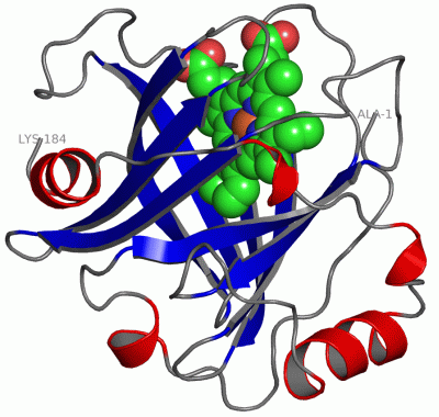 Image Asym./Biol. Unit - manually