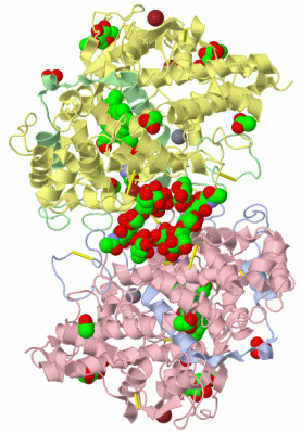 Image Biol.Unit 1 - manually