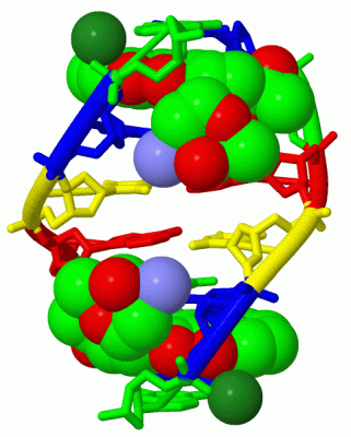 Image Biol.Unit 1 - manually