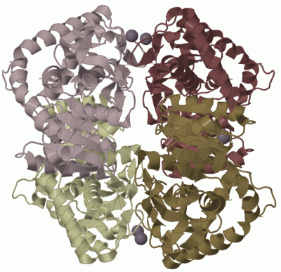 Image Biol.Unit 1 - manually