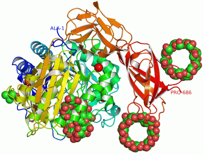 Image Asym./Biol. Unit - manually