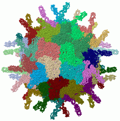 Image Biol.Unit 1 - manually