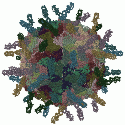 Image Biol.Unit 1 - manually