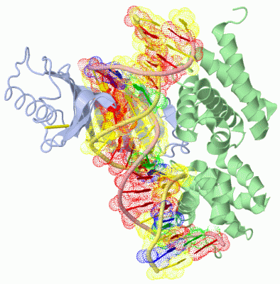 Image Asym./Biol. Unit - manually