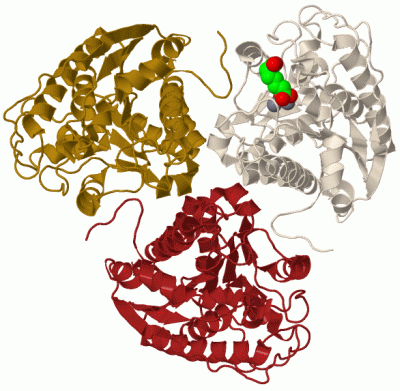 Image Biol.Unit 1 - manually