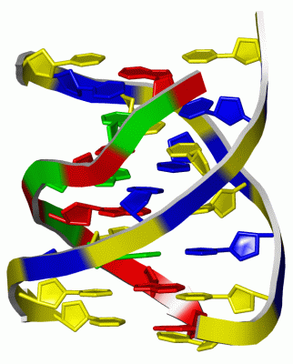 Image NMR Structure - manually