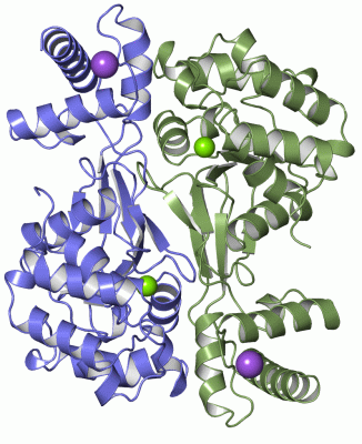 Image Asym./Biol. Unit - manually