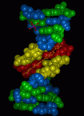 Image Asym./Biol. Unit - manually