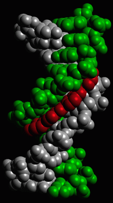 Image Asym./Biol. Unit - manually