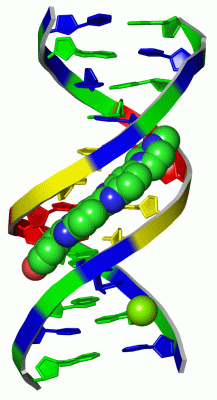 Image Asym./Biol. Unit - manually