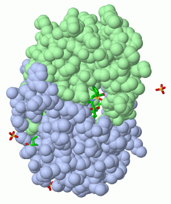 Image Asym./Biol. Unit - manually