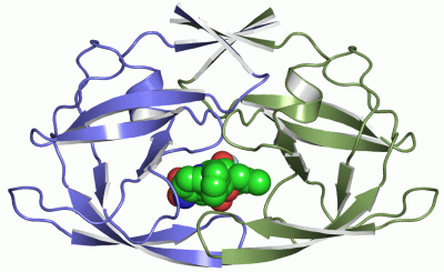 Image Asym./Biol. Unit - manually