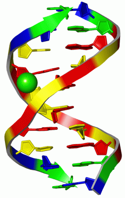 Image Asym./Biol. Unit - manually