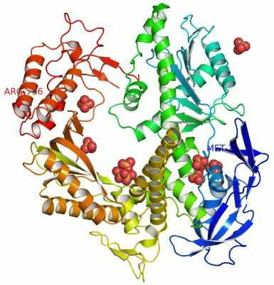 Image Asym./Biol. Unit - manually