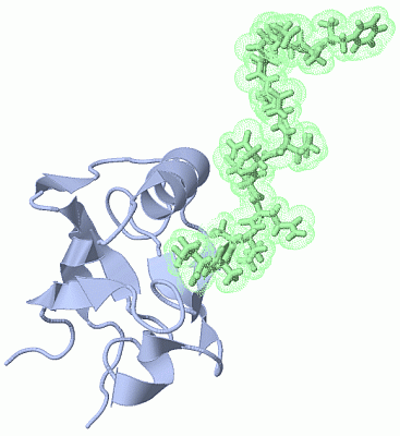 Image NMR Structure - manually