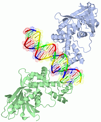 Image Biol.Unit 1 - manually