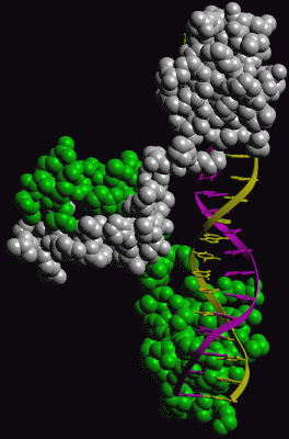 Image Asym./Biol. Unit - manually