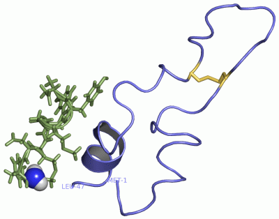 Image NMR Structure - manually