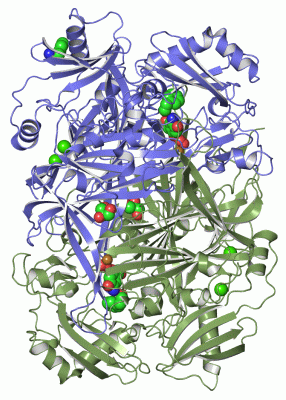 Image Asym./Biol. Unit - manually