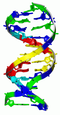 Image Asym./Biol. Unit - manually